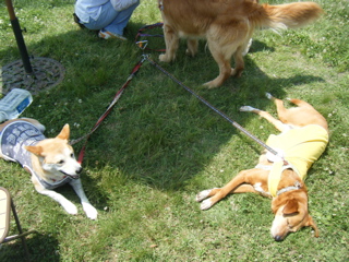 b0072650_023389.jpg