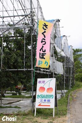 c0004750_22283986.jpg