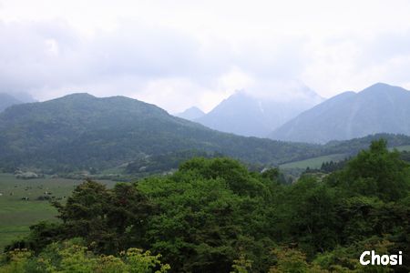 c0004750_23552555.jpg