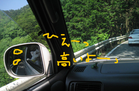 d0134156_14125041.jpg
