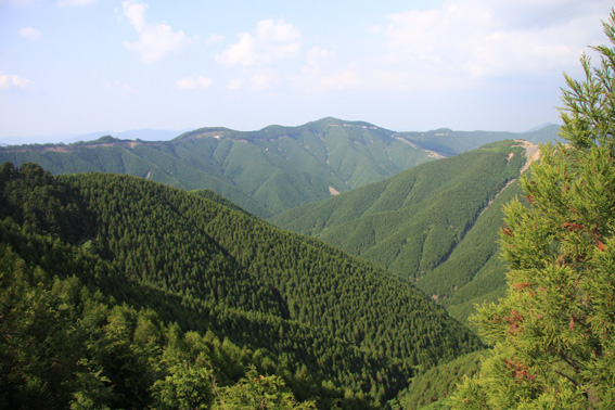 d0134156_14153699.jpg