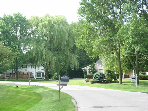 d0158258_12251580.jpg