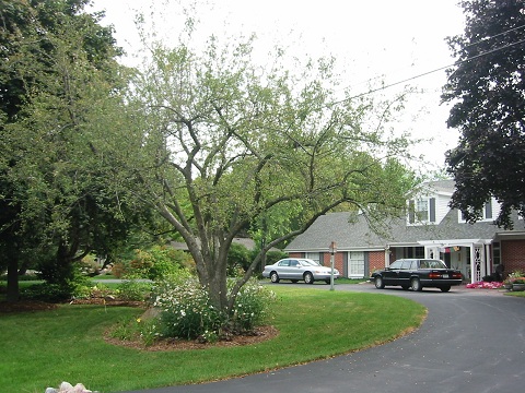 d0158258_12252922.jpg
