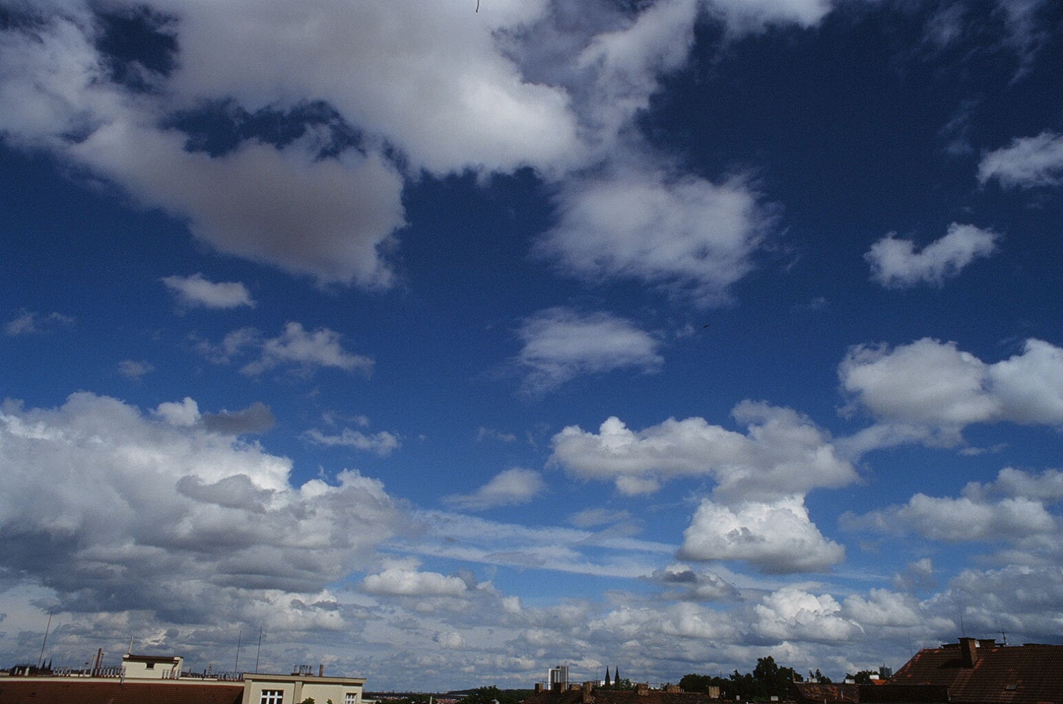 e0134658_0434267.jpg