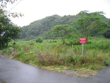 a0157159_18322037.jpg