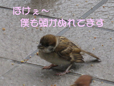 b0158061_21383177.jpg