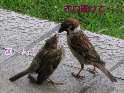 b0158061_21391022.jpg
