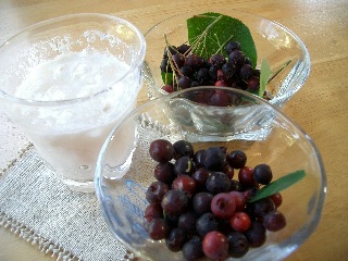 c0186463_1853377.jpg