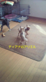 f0192863_13402431.jpg