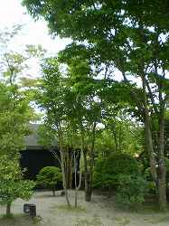 a0108264_14202647.jpg