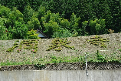 f0106664_731755.jpg