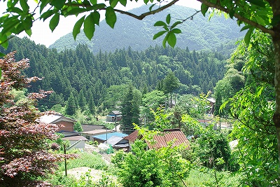 f0106664_754761.jpg