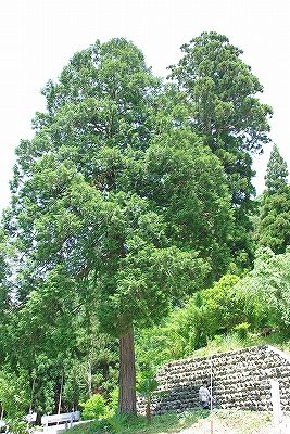 f0106664_76923.jpg