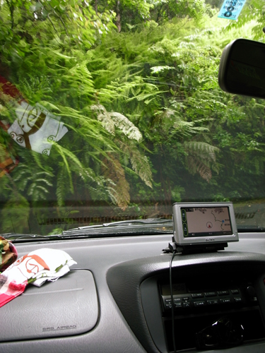 c0048265_15232176.jpg