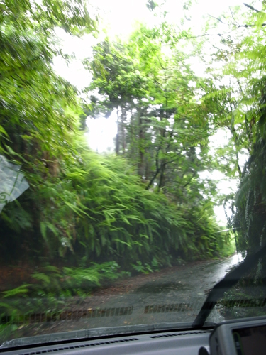 c0048265_15232973.jpg
