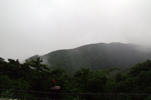 c0048265_15273163.jpg