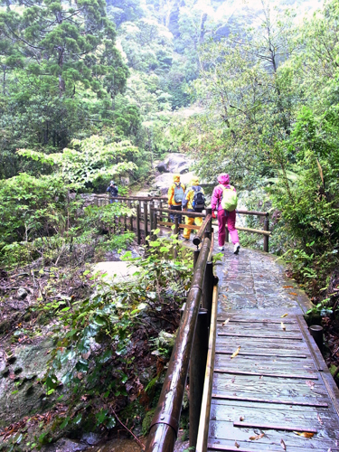 c0048265_15494321.jpg