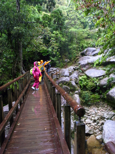 c0048265_15495889.jpg