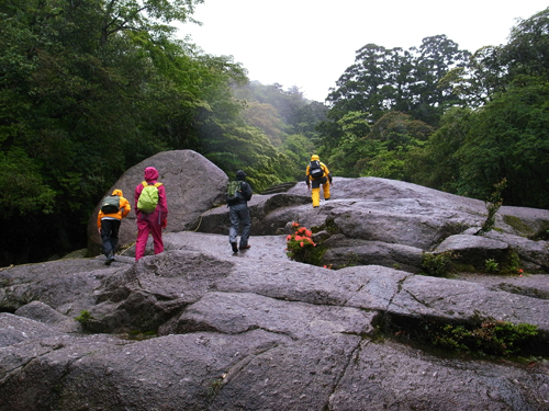 c0048265_15511193.jpg