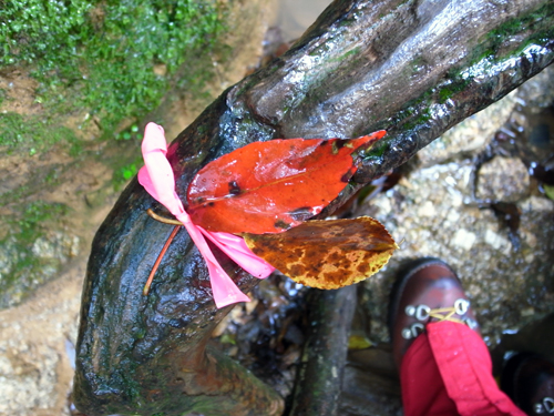 c0048265_15575210.jpg
