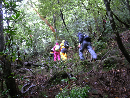 c0048265_15593170.jpg