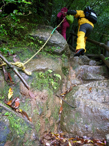 c0048265_1559798.jpg