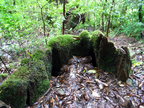 c0048265_1602342.jpg