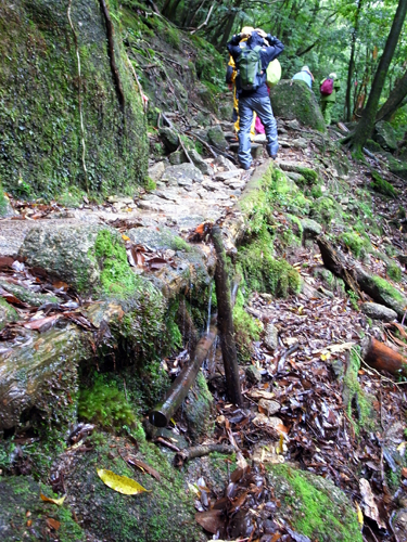 c0048265_16056100.jpg