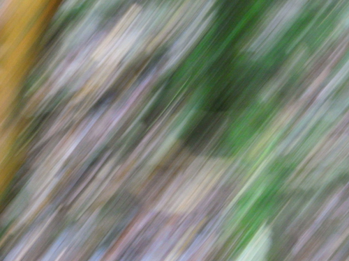 c0048265_16345784.jpg