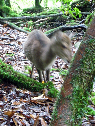 c0048265_1637125.jpg