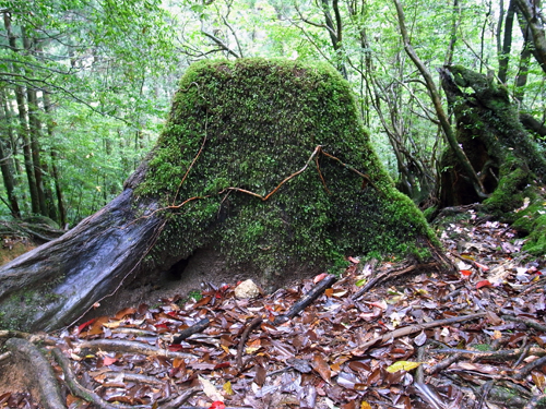 c0048265_17122987.jpg