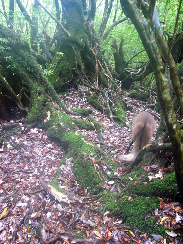 c0048265_17133670.jpg