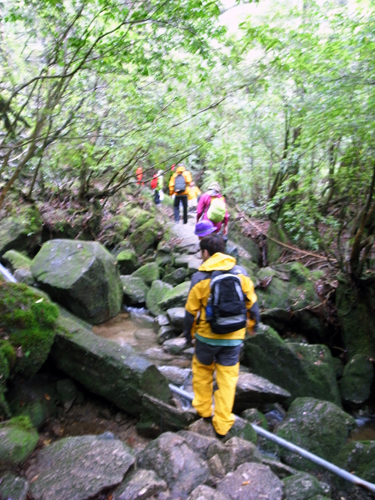 c0048265_17351672.jpg