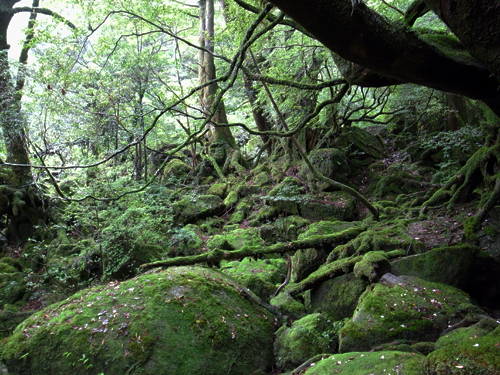c0048265_17413343.jpg