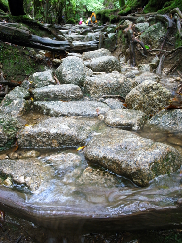 c0048265_1794860.jpg