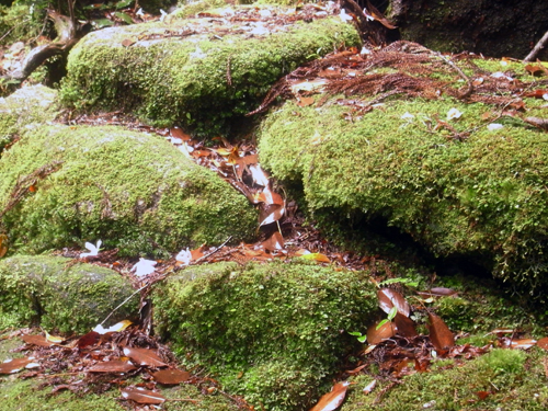 c0048265_18102065.jpg