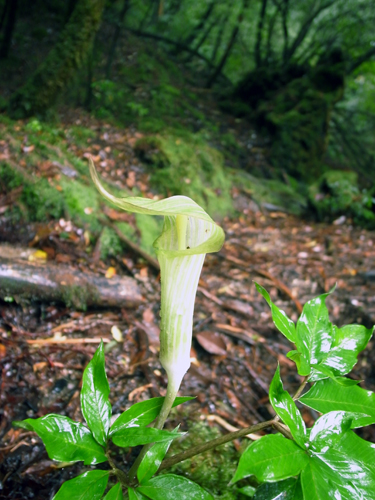 c0048265_18221016.jpg