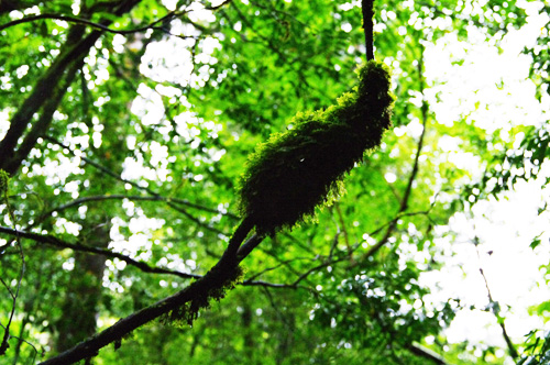c0048265_1823177.jpg