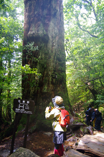 c0048265_1825395.jpg