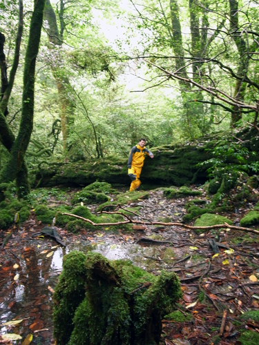 c0048265_18304721.jpg