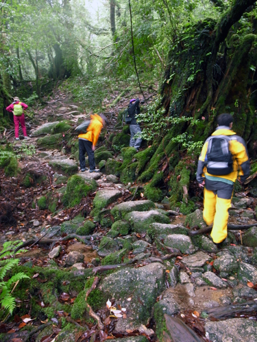 c0048265_18341737.jpg