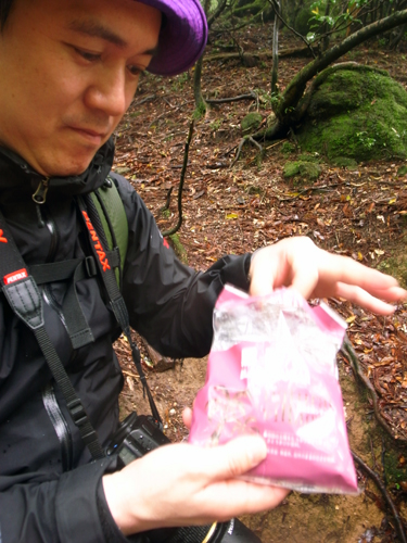 c0048265_1835160.jpg