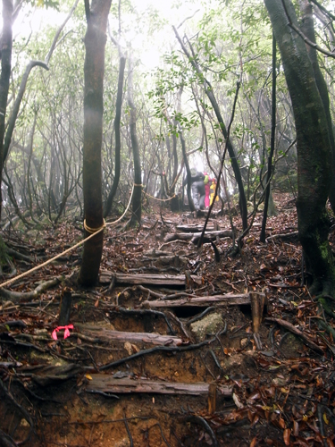 c0048265_18374634.jpg