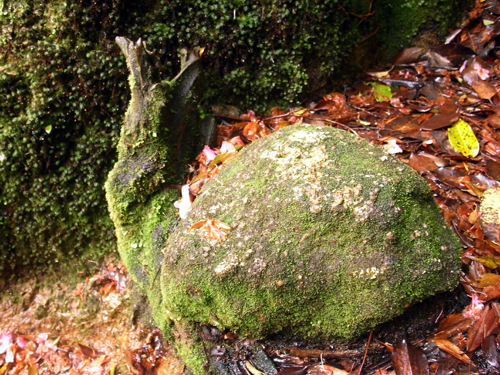 c0048265_1893935.jpg