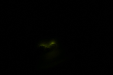 a0091666_2227218.jpg