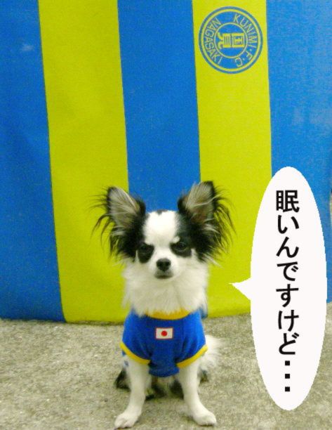 c0042869_1828202.jpg