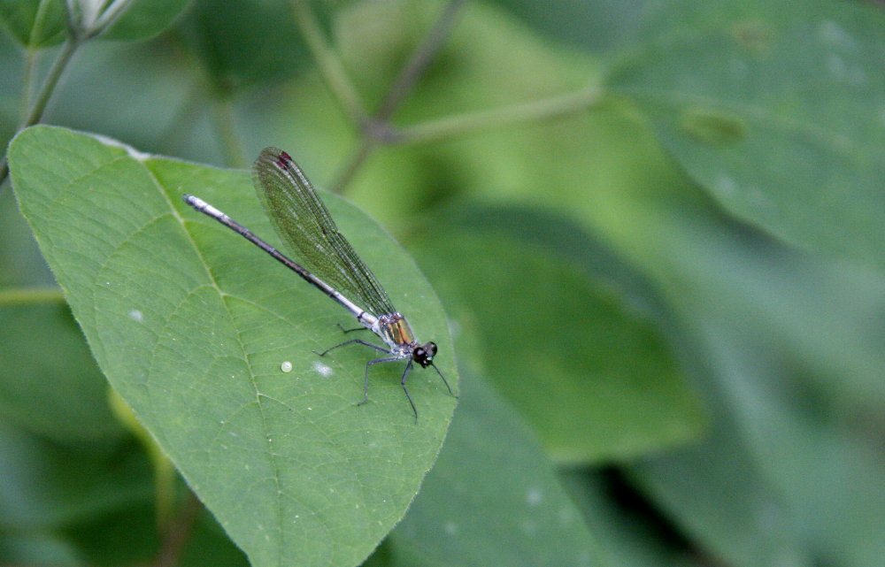 f0181173_1016242.jpg