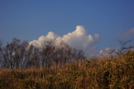 f0054075_011397.jpg