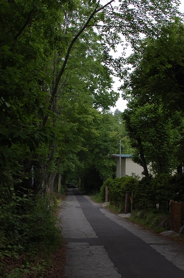 f0141475_21122196.jpg