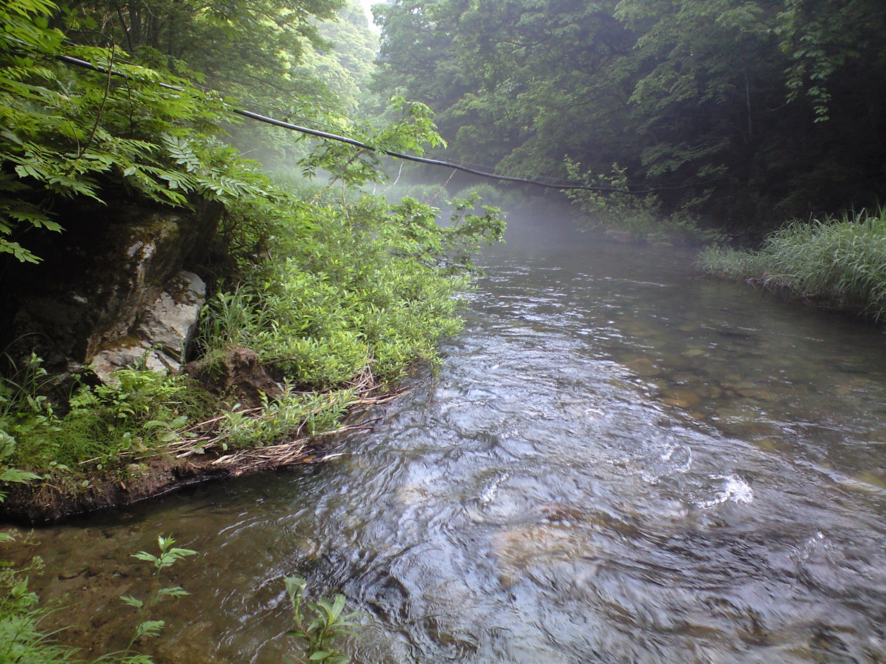 a0093677_2201978.jpg